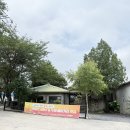 블루망고 | 제주 망고빙수 라룬블루 애플망고빙수 후기