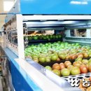 대저농협유통센터(APC) 이미지