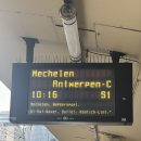 뷰티풀독 | [유럽 감상 수집] 전설과 스토리에 진심인 벨기에 앤트워프 당일치기 | 26.2.19