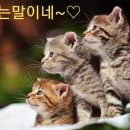 사랑으로 이미지