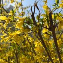 극동아파트(101동앞) 이미지