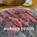 부산축산농협 축산물종합프라자 | 부산 맛집 [부산축산농협 한우프라자] 퀄리티 좋은 한우 맛집