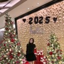 서울 5성급호텔 더플라자호텔 디럭스 트윈룸 시청뷰 후기, 2025 신년 호캉스