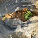 성고농장 이미지