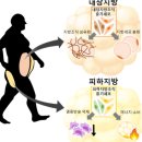 앉아서 하는 일상생활 명상 | 염증 지방균 원인 증상 치료 후기
