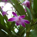 공도읍사무소 이미지