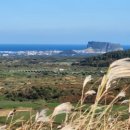 그날 오후 이미지