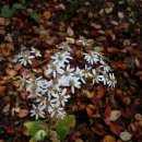 금리마을펜션 이미지