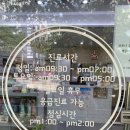 다올동물병원 | 진해 동물병원,다올동물병원 적.극.추.천!! 내발내찾 (+ 포스팅 그 후 추가 이용후기)