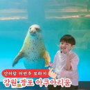 (주)경포아쿠아리움