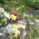 채운산방 이미지