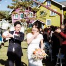 허브캐슬 이미지