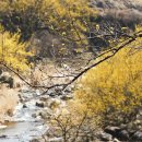 매화당구장 이미지