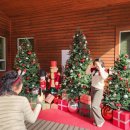 월아산 숲속의 진주 이미지