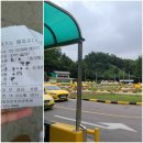 양재운 | 직장인 운전면허 2종보통 도전_step4. 양재운전면허학원 기능시험 합격 꿀팁