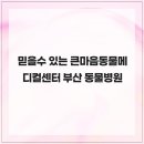 큰마음동물메디컬센터 | 믿을수큰마음동물메디컬센터 부산 동물병원