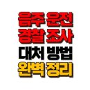 음주운전 경찰조사 질문, 준비만 잘해도 결과가 달라진다? 이미지