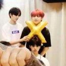 희아 이미지