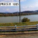 금강약초 티스토리