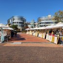 노래하는분수대 광장 이미지