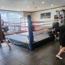 골든보이 복싱짐 이미지