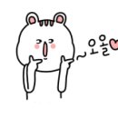 래쉬더로즈 이미지