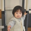 일미한우 네이버블로그