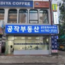 은하부동산중개 이미지