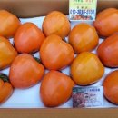 풍천대봉감농원 이미지