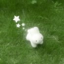 하천(유등천) | [대전 유성구] 🌿 초록여행, 유성을 달리다 - 자전거로 떠나는 유성 🚲 / 타슈 이용방법, 엑스포 과학공원...