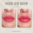 립타투 입술 문신 반영구 커버업 잘하는 곳 후기 / 비대칭 립라인 교정 광주 수완지구 첨단