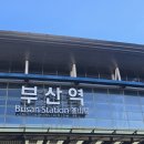 홍도도서관 | 1月 : 별빛처럼 찬란한 꽃이 피게 할 거야