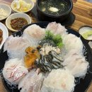 어부야수산 | 시흥 은행동 횟집/광어,우럭,참돔,멍게,해삼,전복맛집/내돈내산후기/[어부야수산 본점]