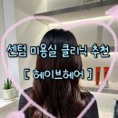 씨티헤어샵 | 부산 해운대 센텀 미용실 추천 클리닉 헤어샵 후기 헤이브헤어