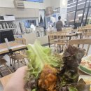 요벨 | 아산 음봉 돈까스 맛집 진심왕돈까스 아산점, 크기부터 진심이었던 왕돈까스 후기또는