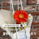 풀빛스튜디오