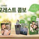 쿠키포레스트 이미지