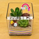 무지개다육 | 초등학생 가족 원예수업 다육식물 테라리움 만들기