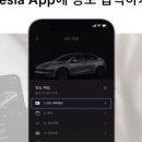 개인화물255 | 꼰대 엄마, 테슬라 Y 계약 버튼 Click!