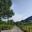 북면생태공원(다목적광장) 이미지