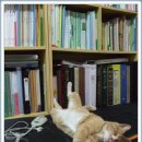 인사불성 이미지