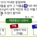 새하늘나라