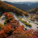 신발 관련 꿈 해몽 풀이 밑창이 떨어진 신발을 신는 꿈 애기신발사는꿈 신발 나오는꿈 이미지