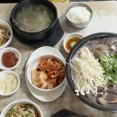 5529 | [선화동소머리해장국] 대전 선화동 맛집 실비김치 해장국&amp;수육 후기
