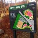 낙성대 숲속공원 이미지