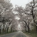반촌순대