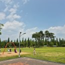 진남체육공원 인라인경기장(내) | 대구 아이랑 가볼 만한 곳 수성패밀리파크