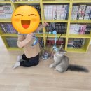 길카페자판기 | [천안] 고양이카페&키즈카페 "지상냥원" 재방문후기