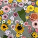 흰돌감자탕 이미지