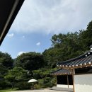 스테이 말래 이미지